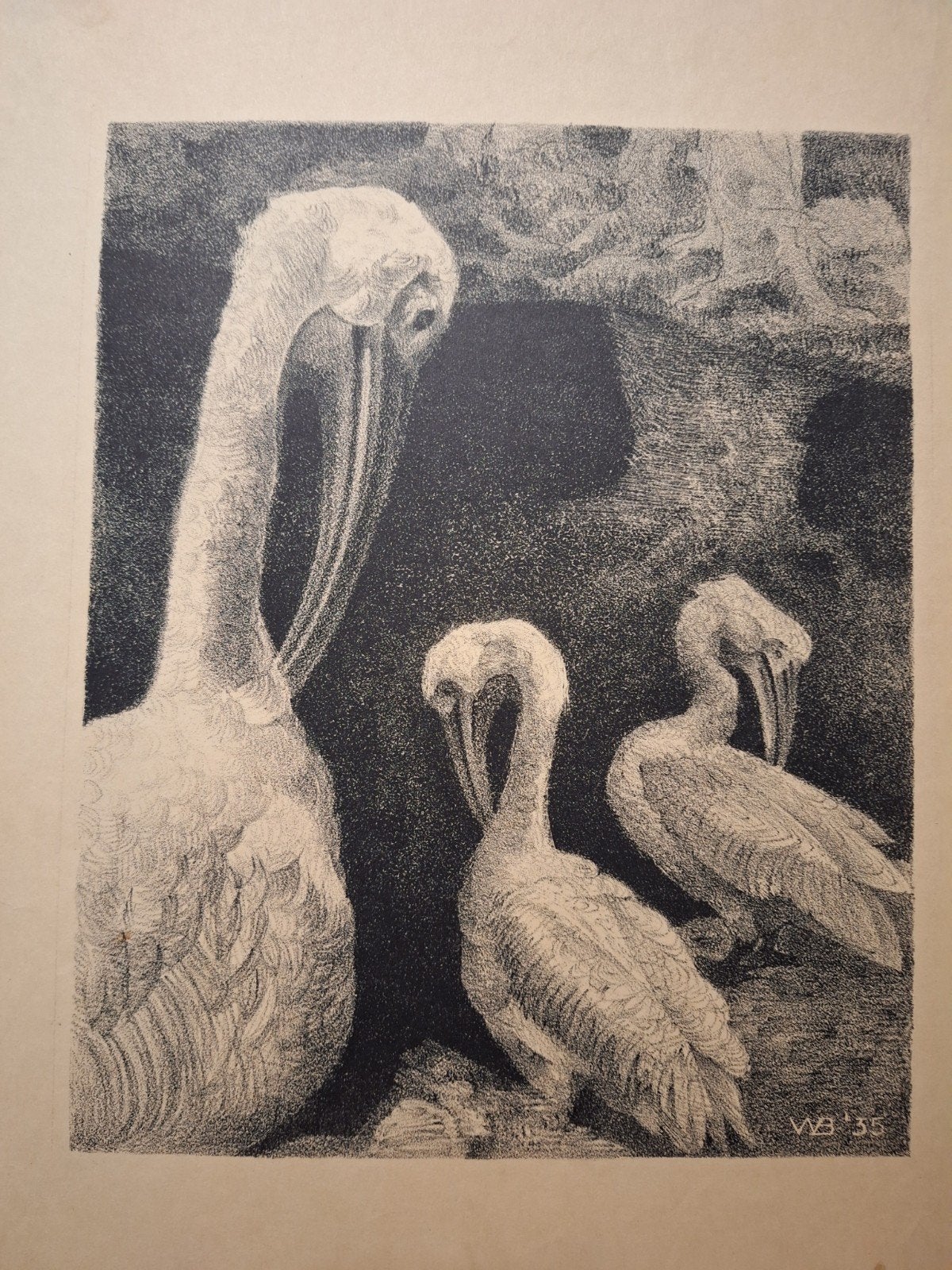 Lithografie pelikanen van Willem Bruckman (1935), Antiek en Kunst, Ophalen of Verzenden, Flora en Fauna, Origineel, Lithografie