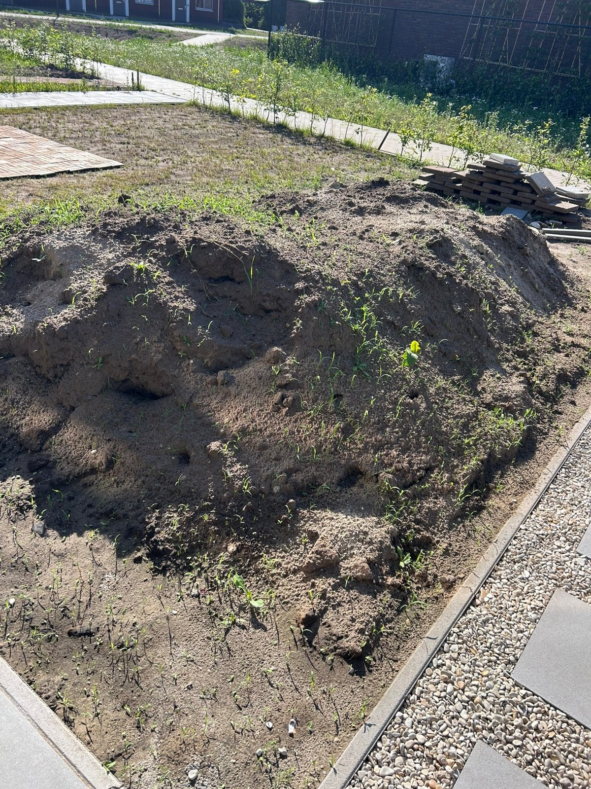 Gratis zwart zand - zelf ophalen, Ophalen, Tuinaarde