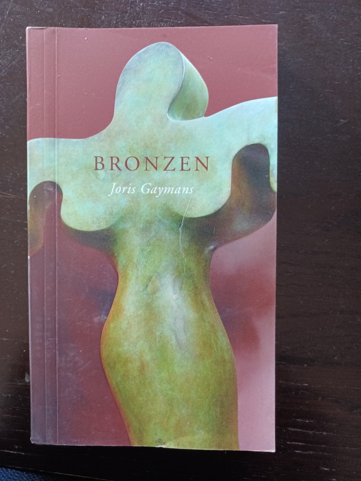 Bronzen - Joris Gaymans (Boek), Ophalen of Verzenden, Gelezen, Joris Gaymans, Nederland