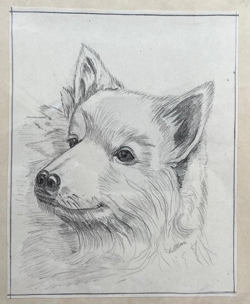 Tekening Hond, Ophalen of Verzenden