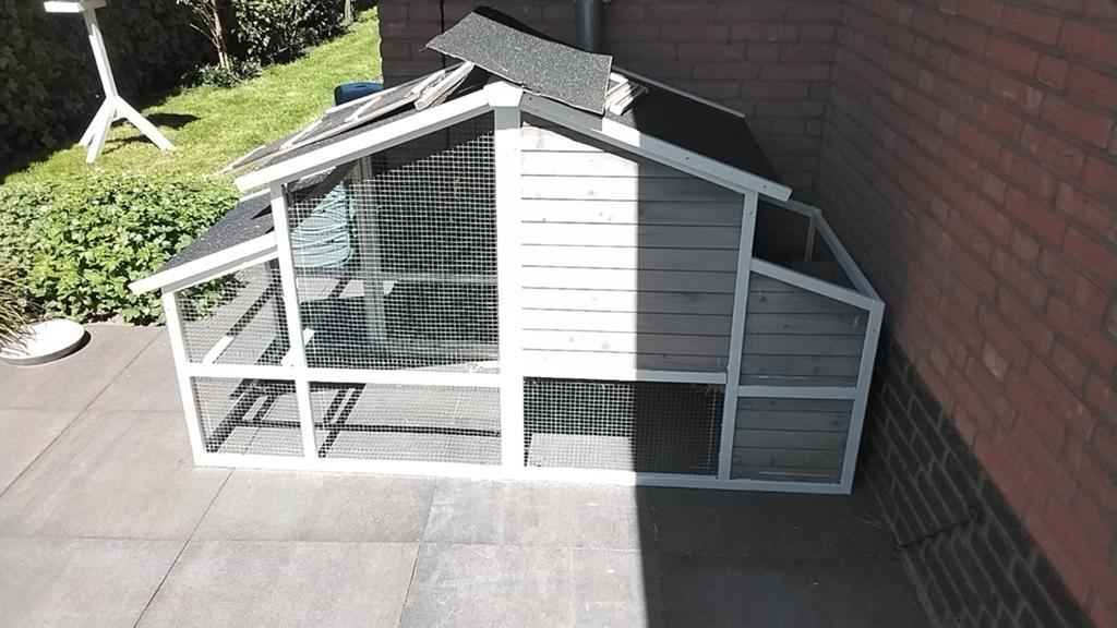 Buiten kooi kip, cavia, konijn, Ophalen, 110 cm of meer, Hok, Konijn
