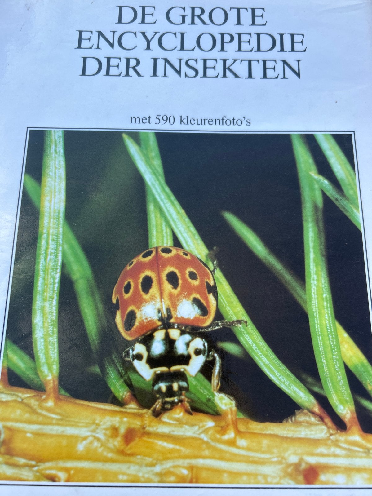 De Grote Encyclopedie der Insekten - Rebo Productions, Boeken, Encyclopedieën, Ophalen of Verzenden, Zo goed als nieuw, Dieren