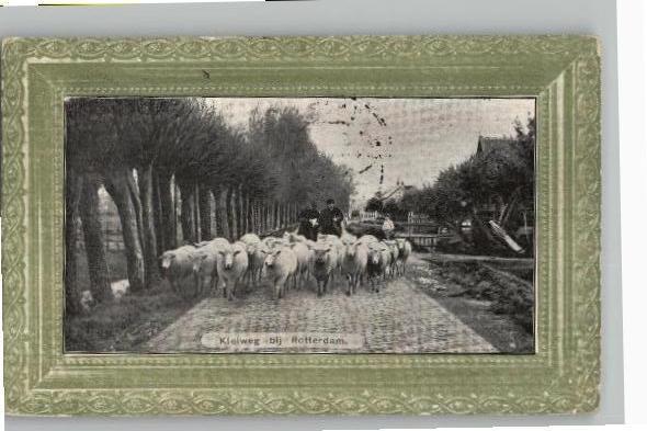 Kleiweg Hillegersberg/Rotterdam met kudde schapen st 1907