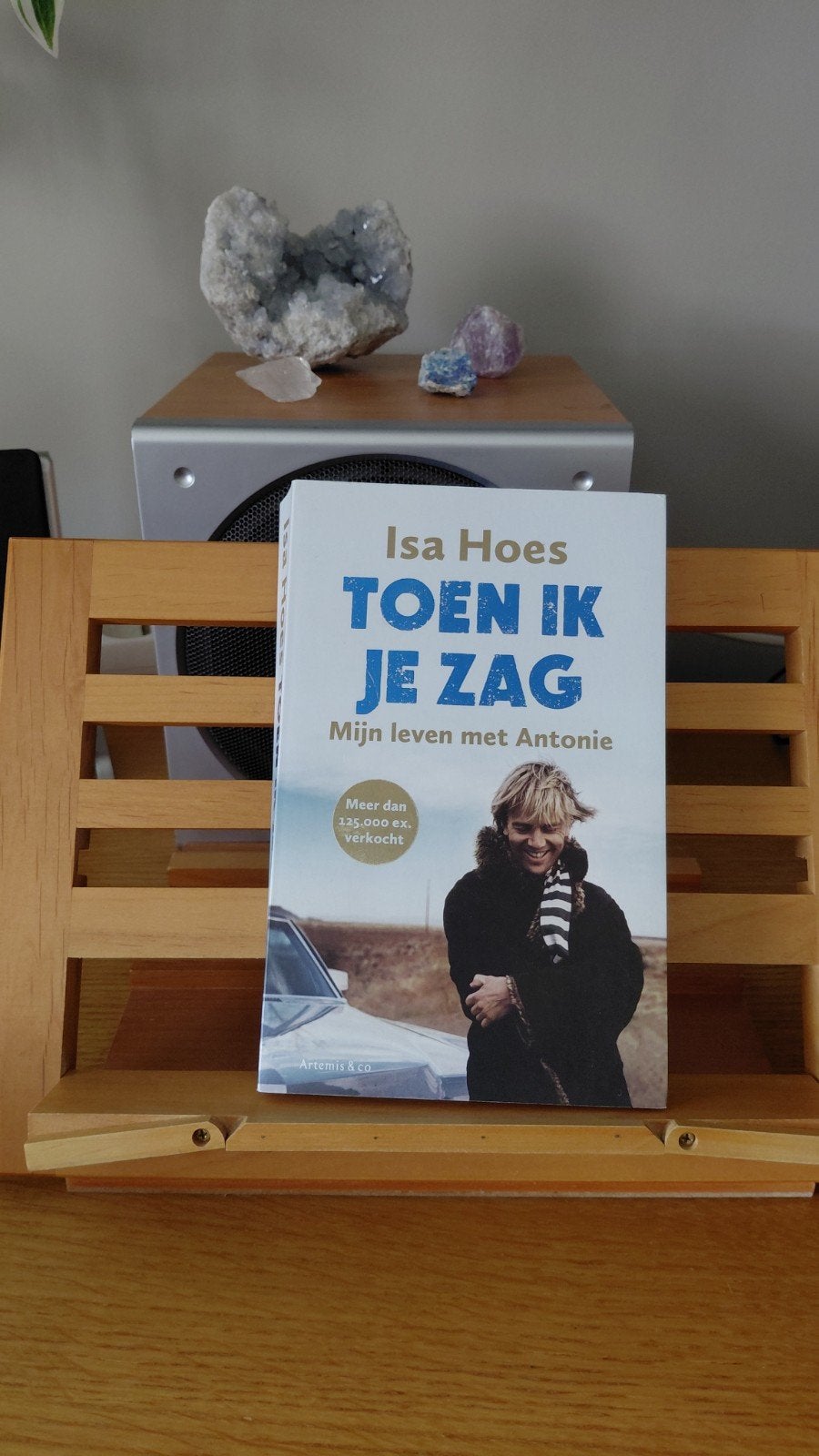 Toen Ik Je Zag - Mijn leven met Antonie (Isa Hoes), Ophalen of Verzenden, Zo goed als nieuw, Isa Hoes, Overige