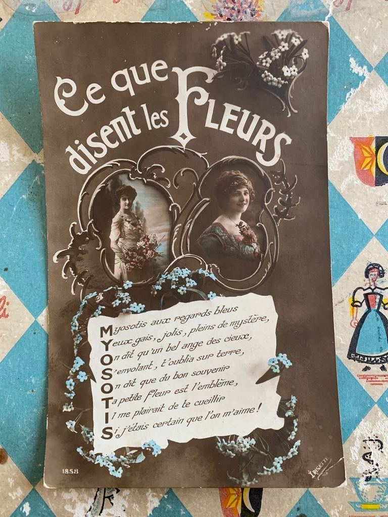 Ce que disent les Fleurs - vergeet mij nietjes - Myosotis, Ophalen of Verzenden, Voor 1920, Ongelopen, Overige thema's