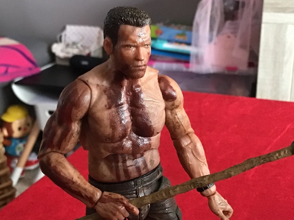 Predator series 9 Dutch final confrontation 2015, Ophalen