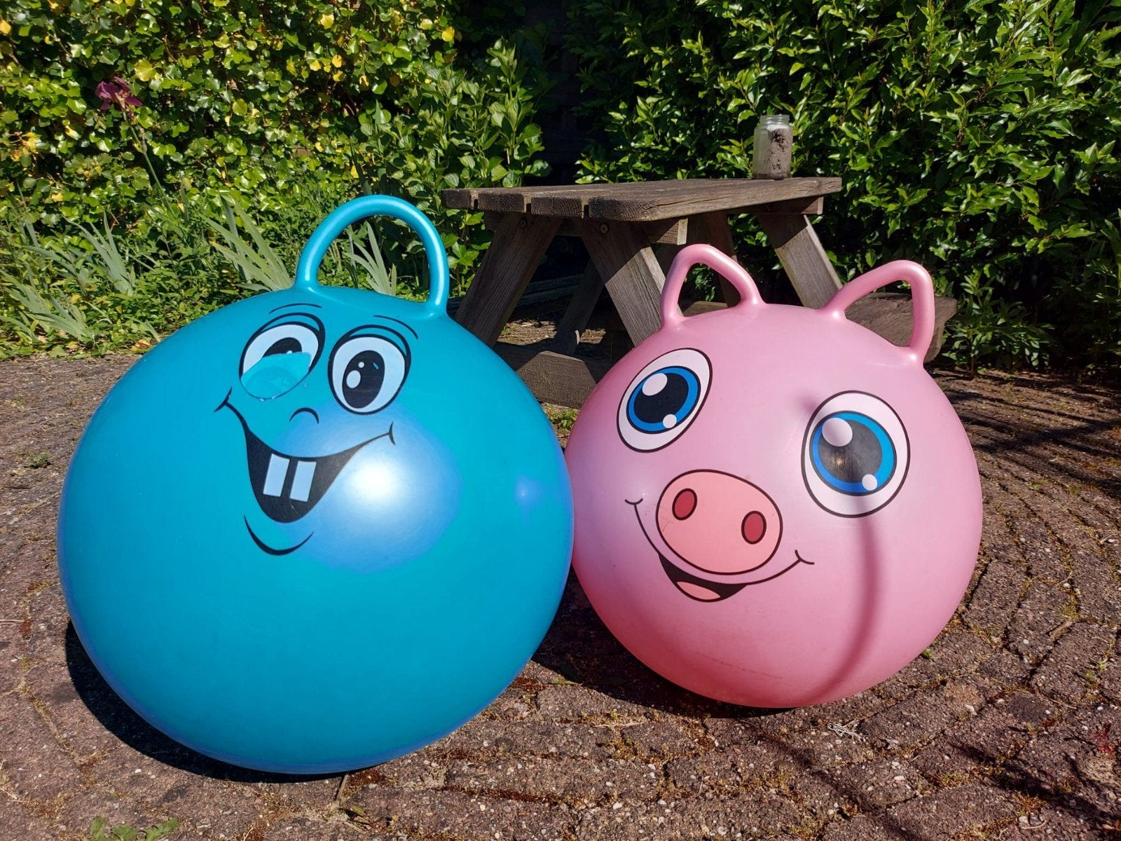 Vrolijke skippyballen roze en blauw, Ophalen, Gebruikt, Jongen of Meisje