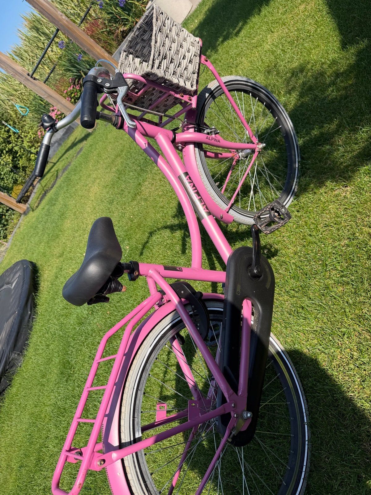 Roze Alpina kinderfiets 22 inch, Fietsen en Brommers, Fietsen | Dames | Damesfietsen, Terugtraprem, 50 tot 53 cm, Ophalen, Overige merken