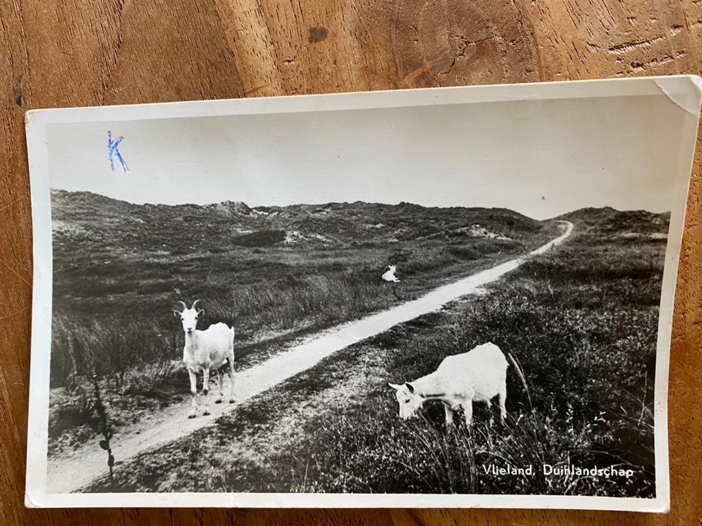 Ansichtkaarten Vlieland uitgave J Wels, Verzamelen, Ophalen of Verzenden, Voor 1940, Zo goed als nieuw