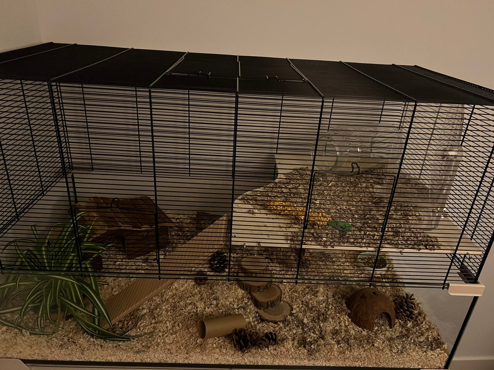 Hamsterpaleis, Kooi, Zo goed als nieuw, Hamster, Ophalen