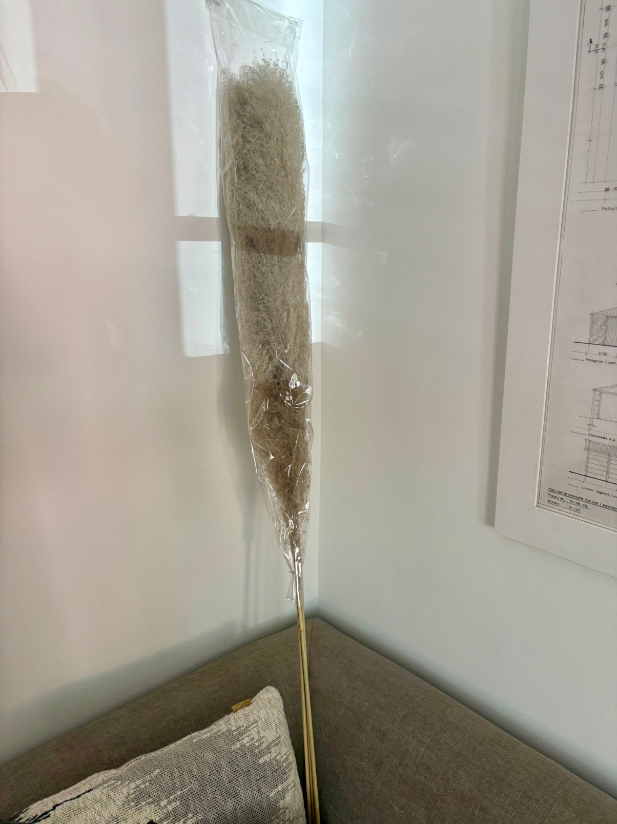NIEUW 3 decoratie pluimen / veren, Ophalen, Nieuw