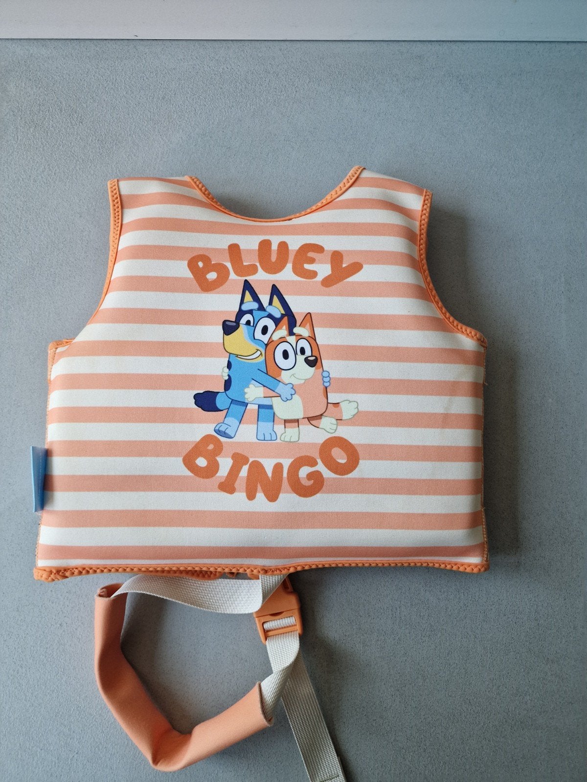Zwemvest voor peuters - Bluey & Bingo (tot 3 jaar), Ophalen, Gebruikt, Kind, Bluey
