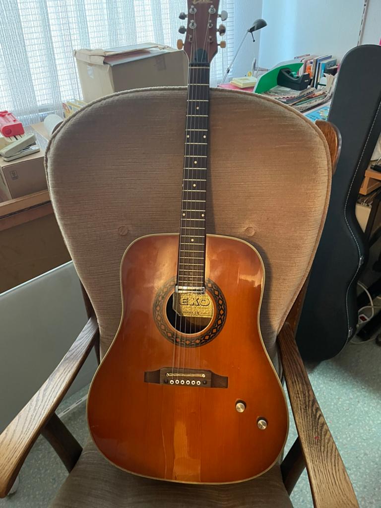 Akoestisch Gitaar EKO Ranger 6E met element uit 1974, Muziek en Instrumenten, Ophalen, Zo goed als nieuw, Western- of Steelstringgitaar