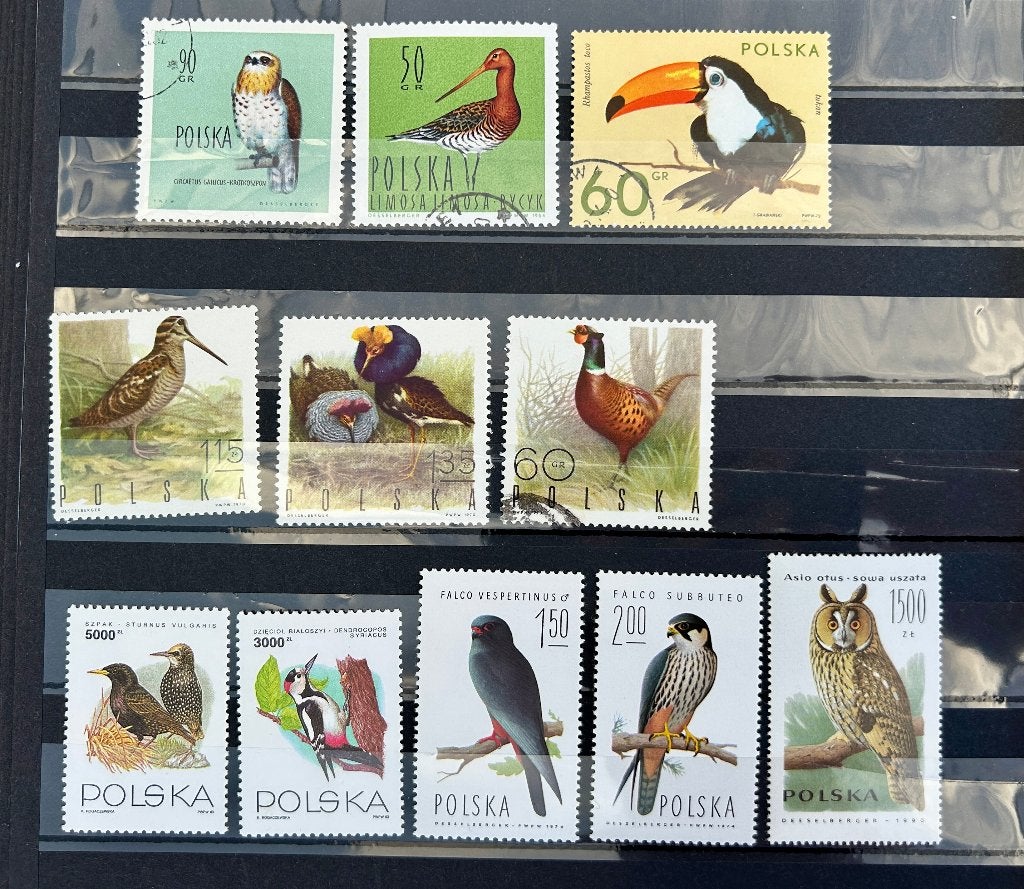 restkavel vogels Polen, Verzenden, Dier of Natuur