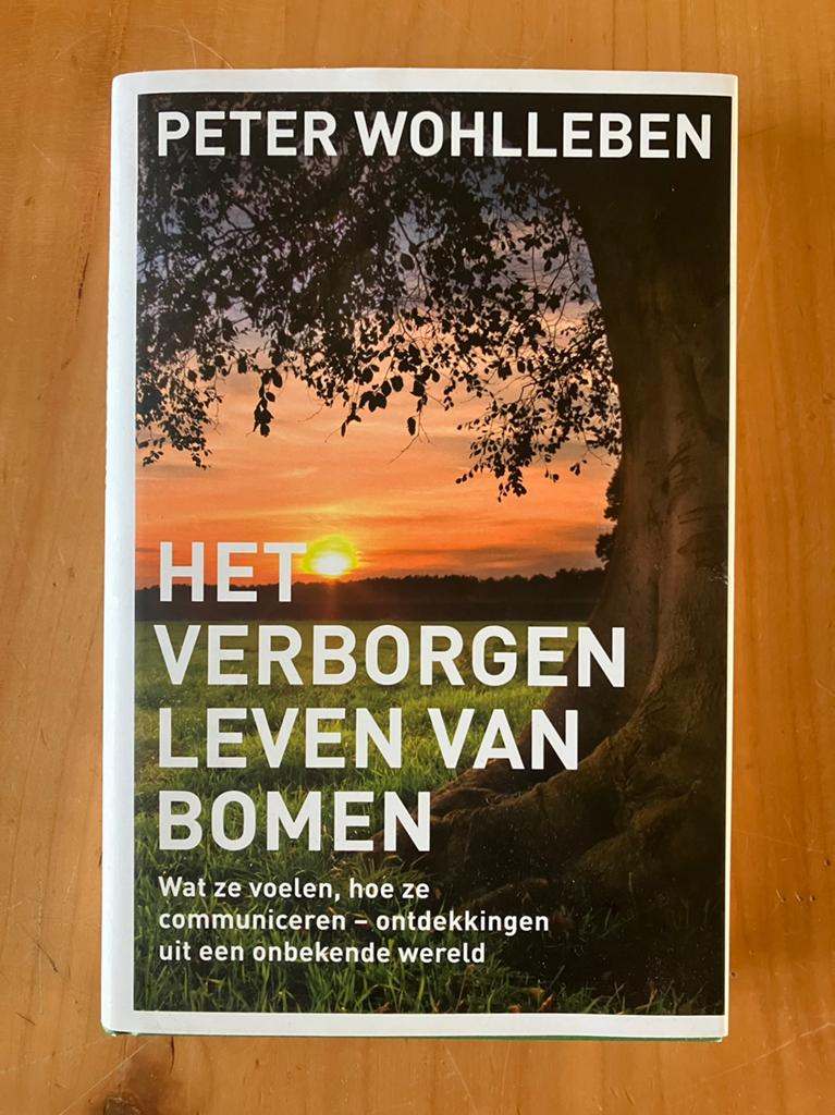 Peter Wohlleben - Het verborgen leven van bomen, Boeken, Bloemen, Planten en Bomen, Peter Wohlleben, Nieuw, Ophalen of Verzenden