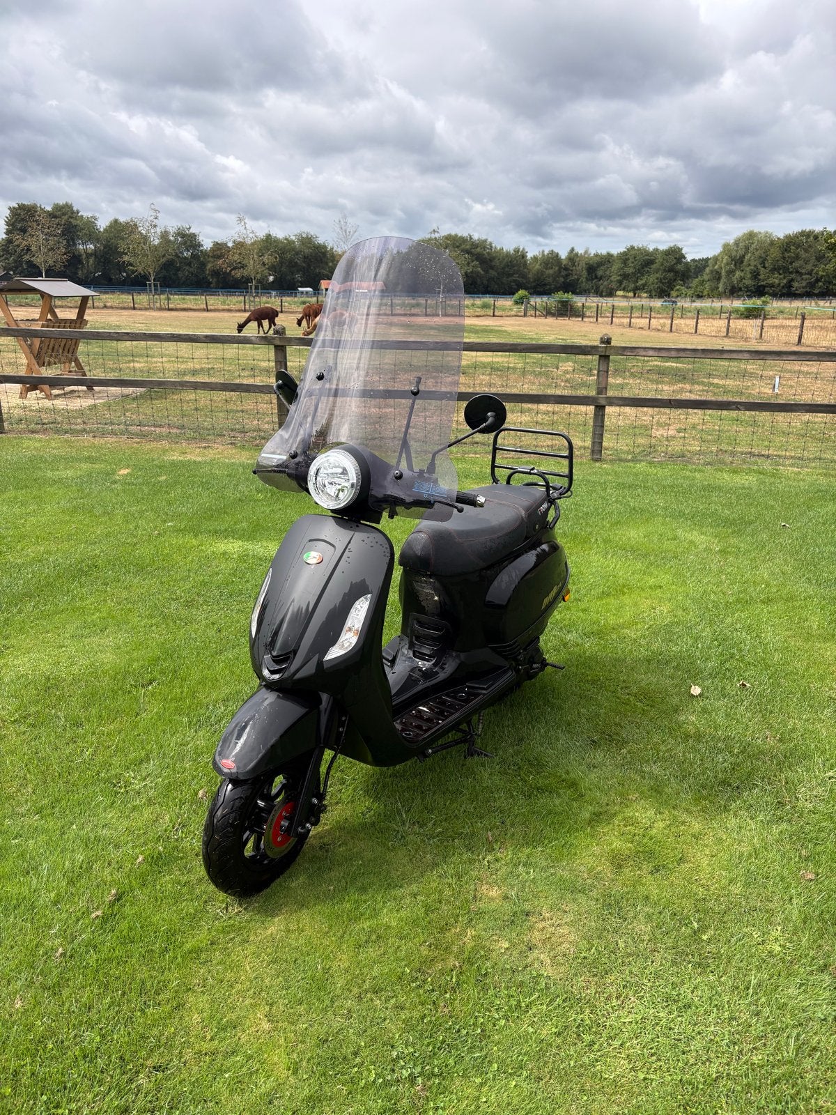 Nipponia Scooter 2020 - Zo goed als nieuw, lage km stand, Overige merken, Ophalen of Verzenden, Zo goed als nieuw, Benzine