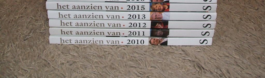 Boek Het aanzien van 2010, Boeken, Ophalen of Verzenden, 20e eeuw of later, Zo goed als nieuw, Overige gebieden