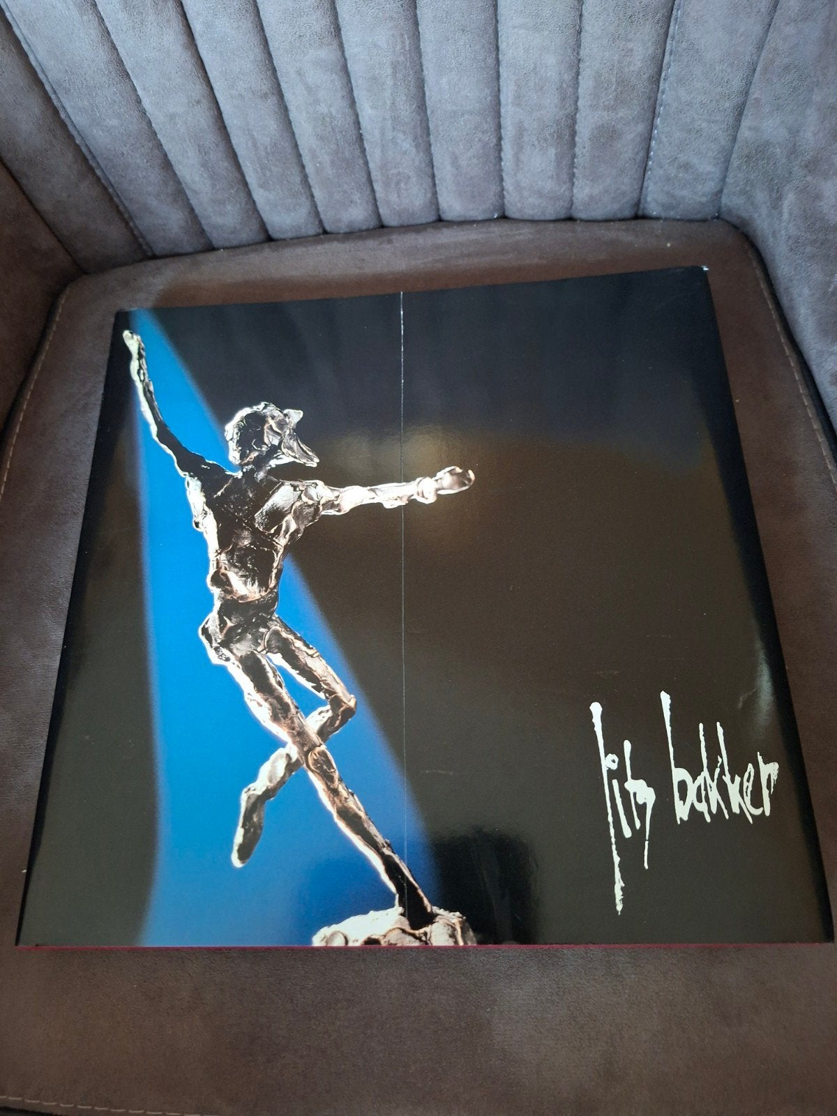 Jits Bakker Kunstboek, Boeken, Ophalen of Verzenden, Gelezen, Jits Bakker