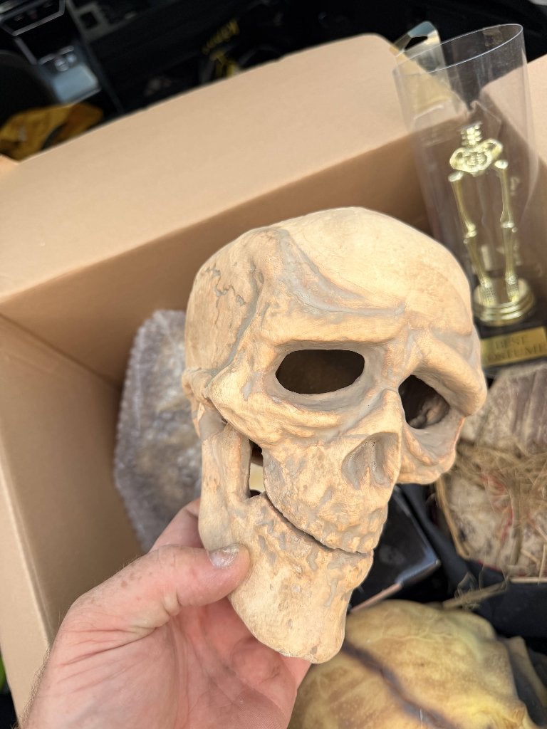 TE KOOP SCHEDEL STONED PIEPSCHUIM, Versiering, Halloween of Griezel, Nieuw, NVT