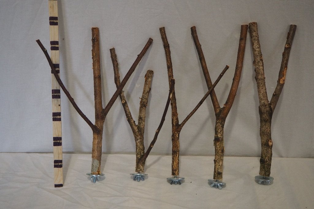 Zit stokken set 5 stuks, Ophalen, Nieuw, Kooi-accessoires
