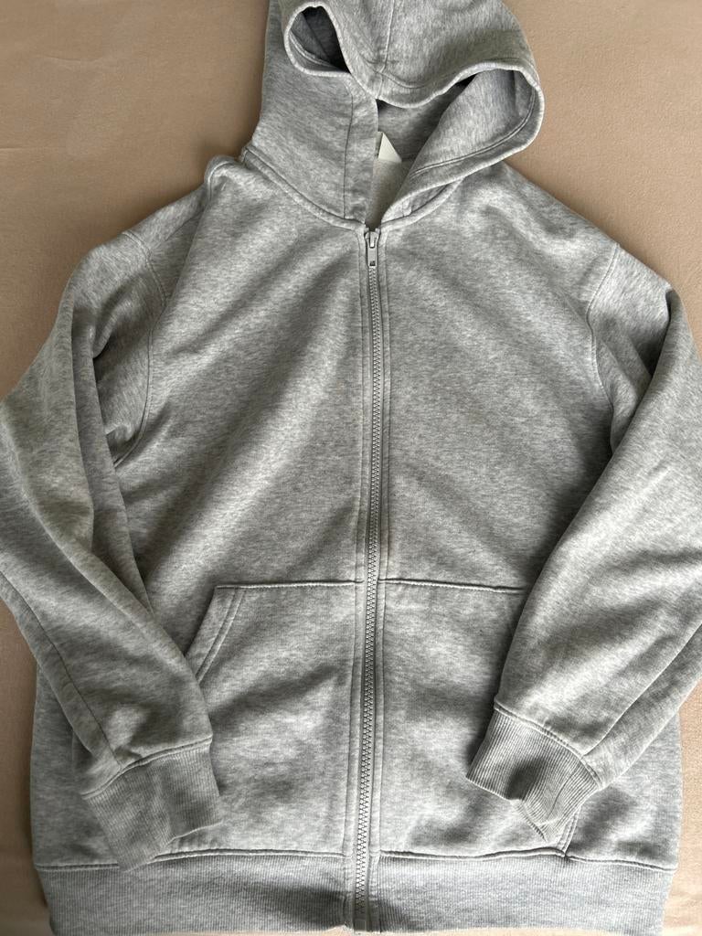 Grijze hoodie met rits, Ophalen of Verzenden, Zo goed als nieuw, Jongen of Meisje, Trui of Vest