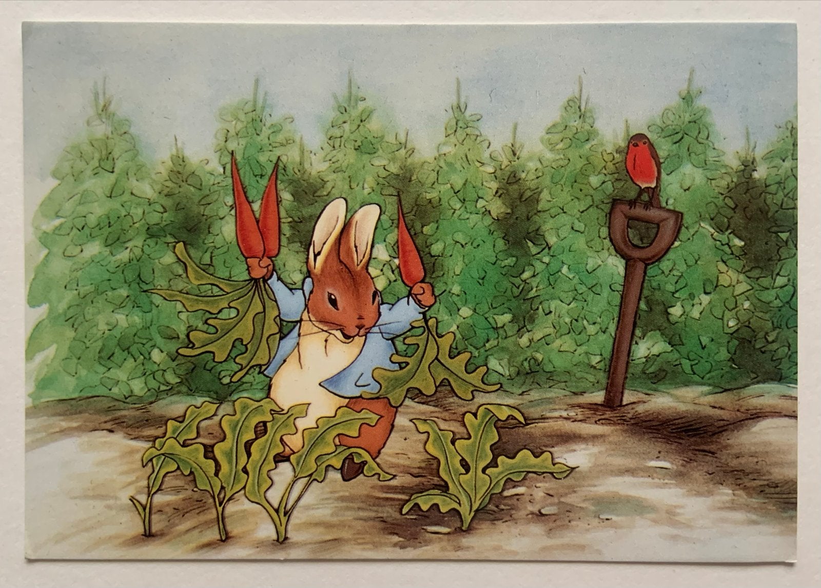 Pieter Konijn in de moestuin, Ophalen of Verzenden, 1980 tot heden, Ongelopen, Natuur