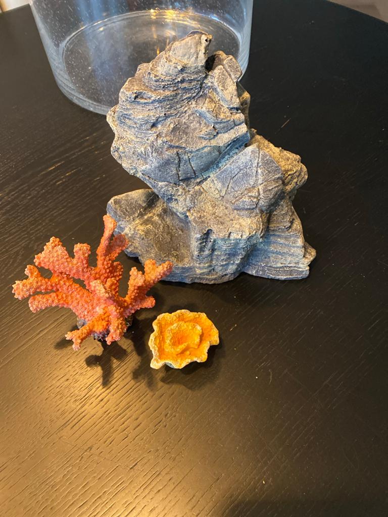 Ornamenten aquarium, Ophalen of Verzenden, Zo goed als nieuw, Leeg aquarium