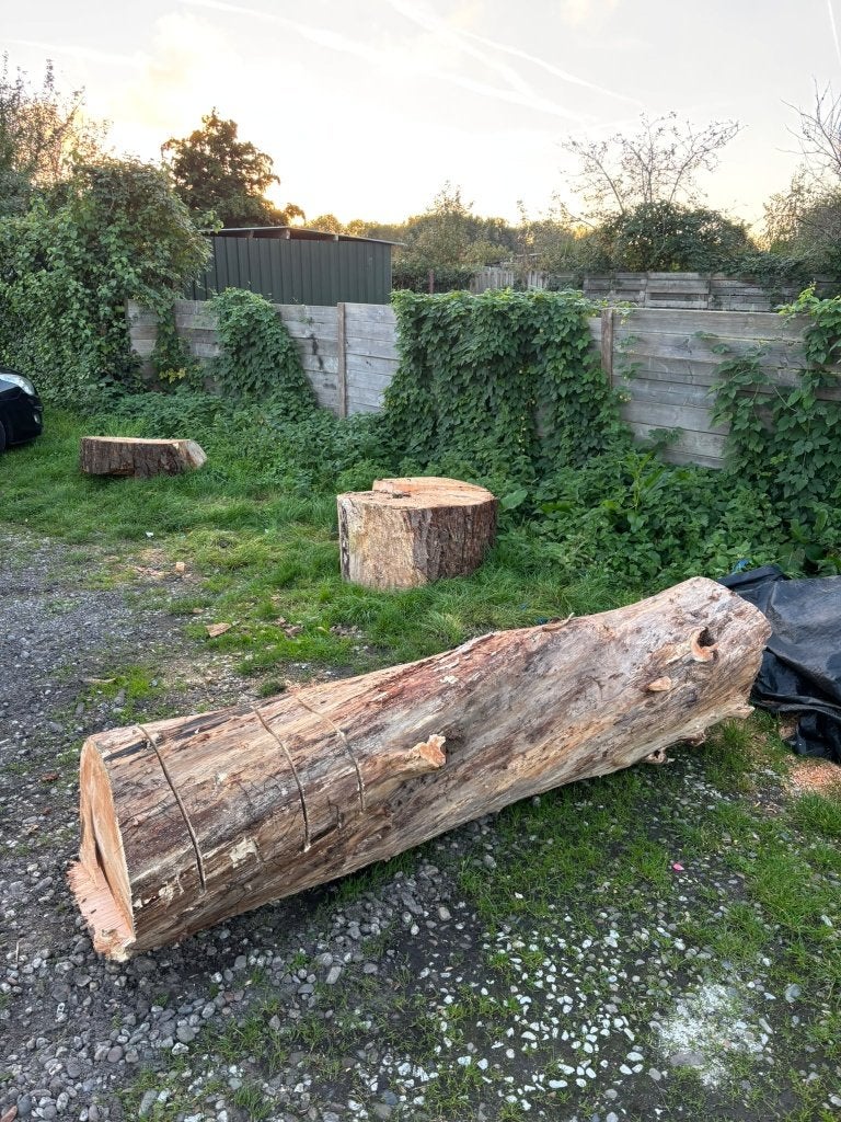 Haardhout gratis, Minder dan 3 m³, Ophalen, Overige houtsoorten, Stammen