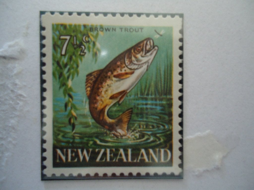 Vis forel Nieuw-Zeeland 1967, mi. 465 postfris, Ophalen of Verzenden, Postfris, Dier of Natuur