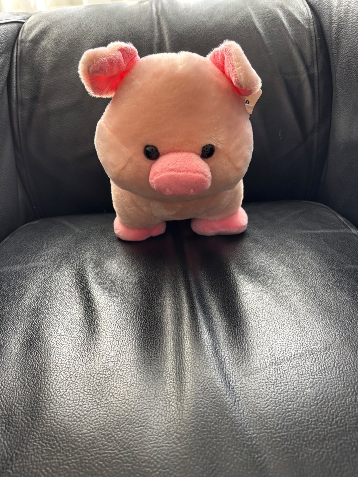 Build-A-Bear varken knuffel - Nieuw uit Amerika, Overige typen, Nieuw, Ophalen of Verzenden, Met label