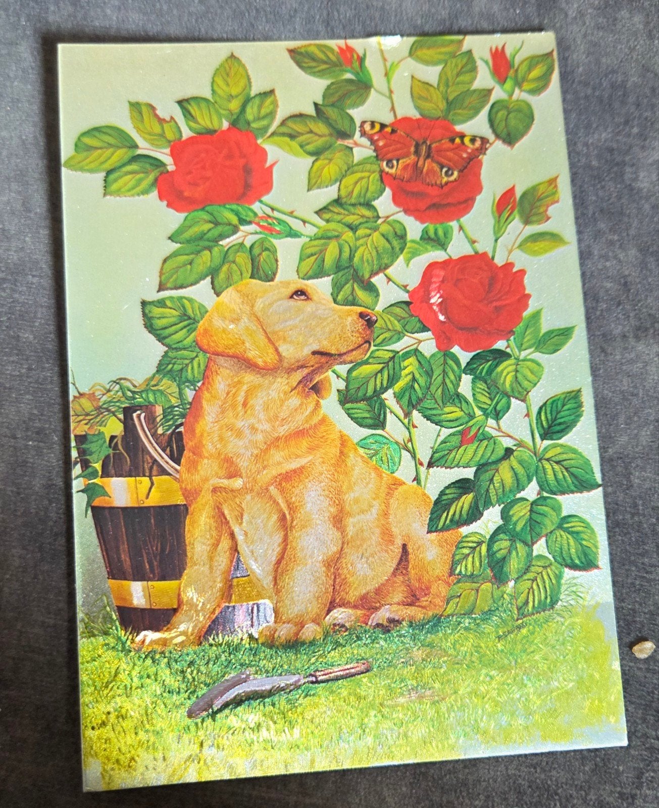 Vintage Ansichtkaart: Labrador Pup met Rozen en Vlinder, Verzenden, 1980 tot heden, Ongelopen, Overige thema's