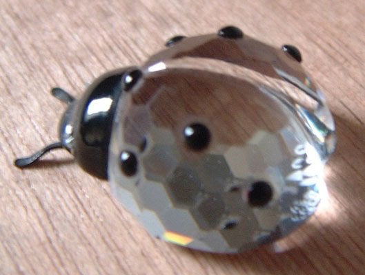 Swarovski Kristal Lieveheersbeestje Collector, Ophalen of Verzenden, Nieuw, Figuurtje