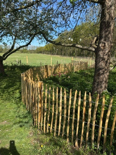 Kastanje palen, Ophalen, Nieuw, 250 cm of meer, Palen