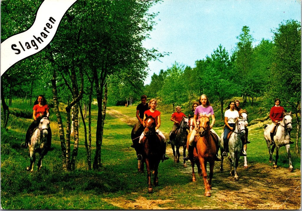 Slagharen - 12 oude ansichtkaarten Shetland  Ponypark, Verzenden, 1960 tot 1980, Gelopen, Overijssel