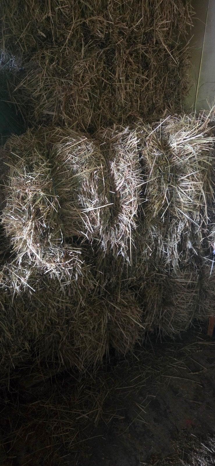80 pakjes hooi te koop, Dieren en Toebehoren, Ophalen