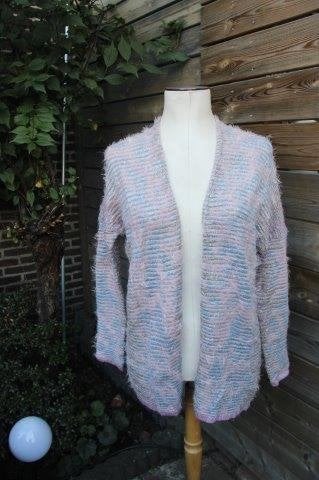 Vest roze/ blauw Caroline Biss mt 40 Winter Vaste prijs OPRU, Maat 38/40 (M), Blauw, Ophalen of Verzenden, Zo goed als nieuw