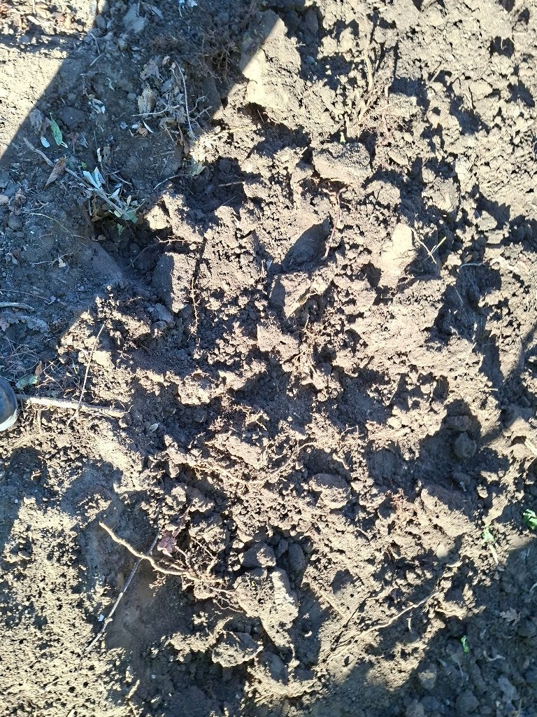 grond, Ophalen, Tuinaarde