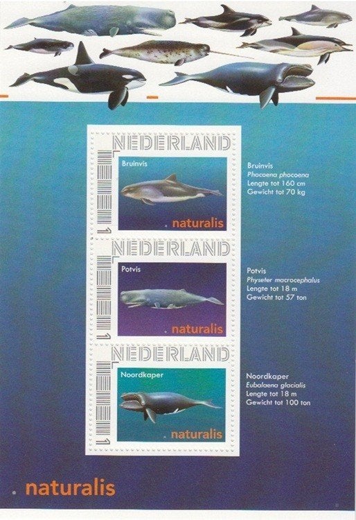 Nederland Postset Naturalis walvissen met blokje + 3 kaarten, Ophalen of Verzenden, Na 1940, Postfris