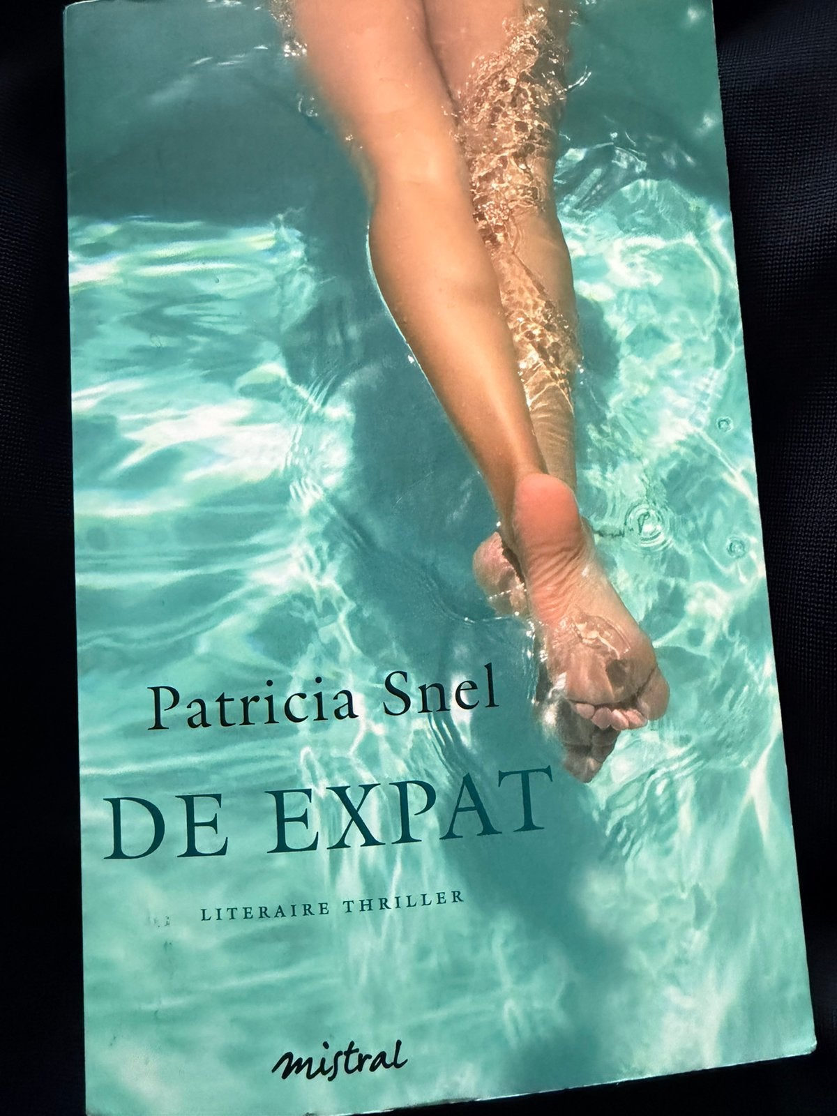 De Expat - Patricia Snel (Literaire thriller), Ophalen of Verzenden, Zo goed als nieuw, Nederland
