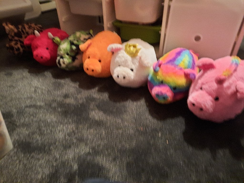 funky piggy family varken wit crystal of bruin speedy 35 cm, Kinderen en Baby's, Overige merken, Overige typen, Nieuw, Ophalen of Verzenden