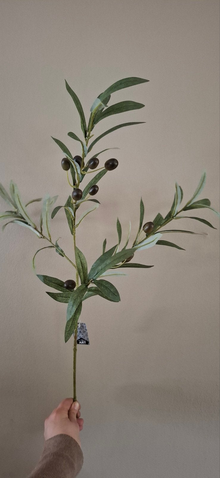 Kunst Olijftakken, Ophalen of Verzenden, Nieuw, Binnen, 75 cm