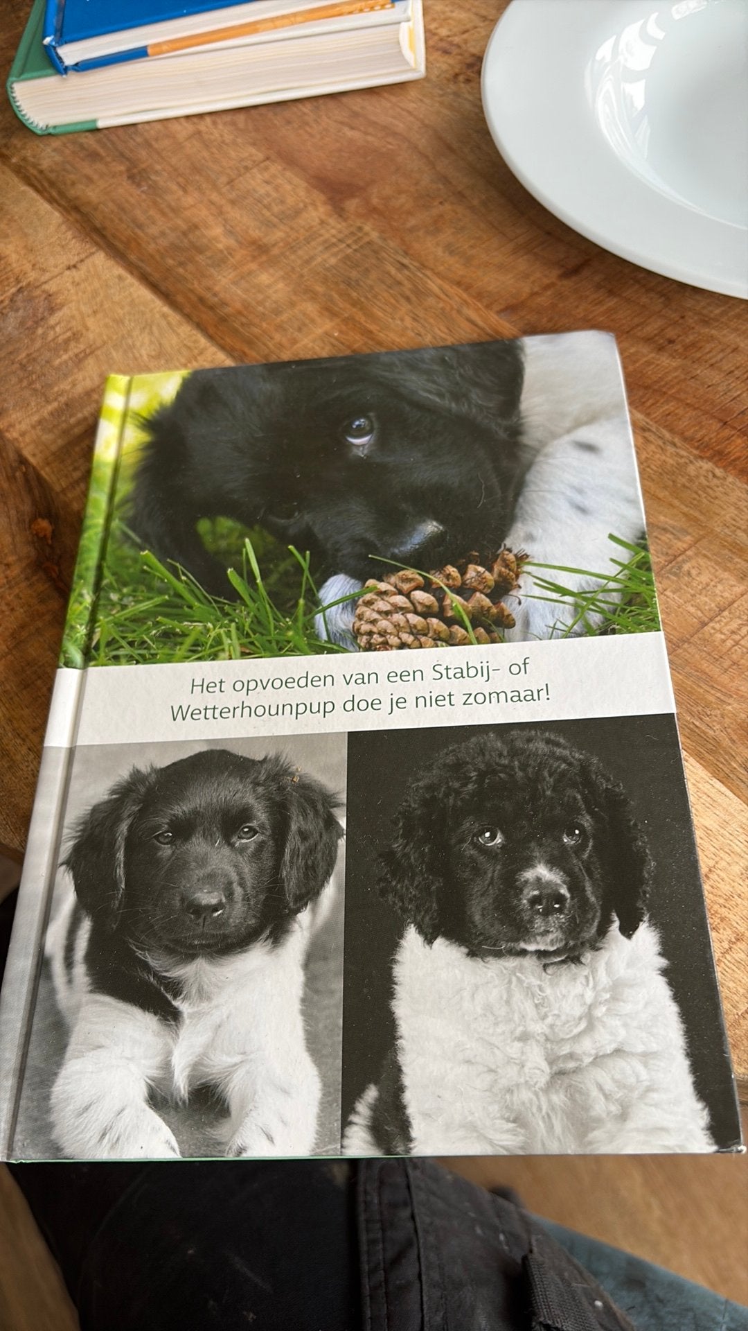 Boek opvoeden stabij- Wetterhoun, Ophalen, Zo goed als nieuw, Honden