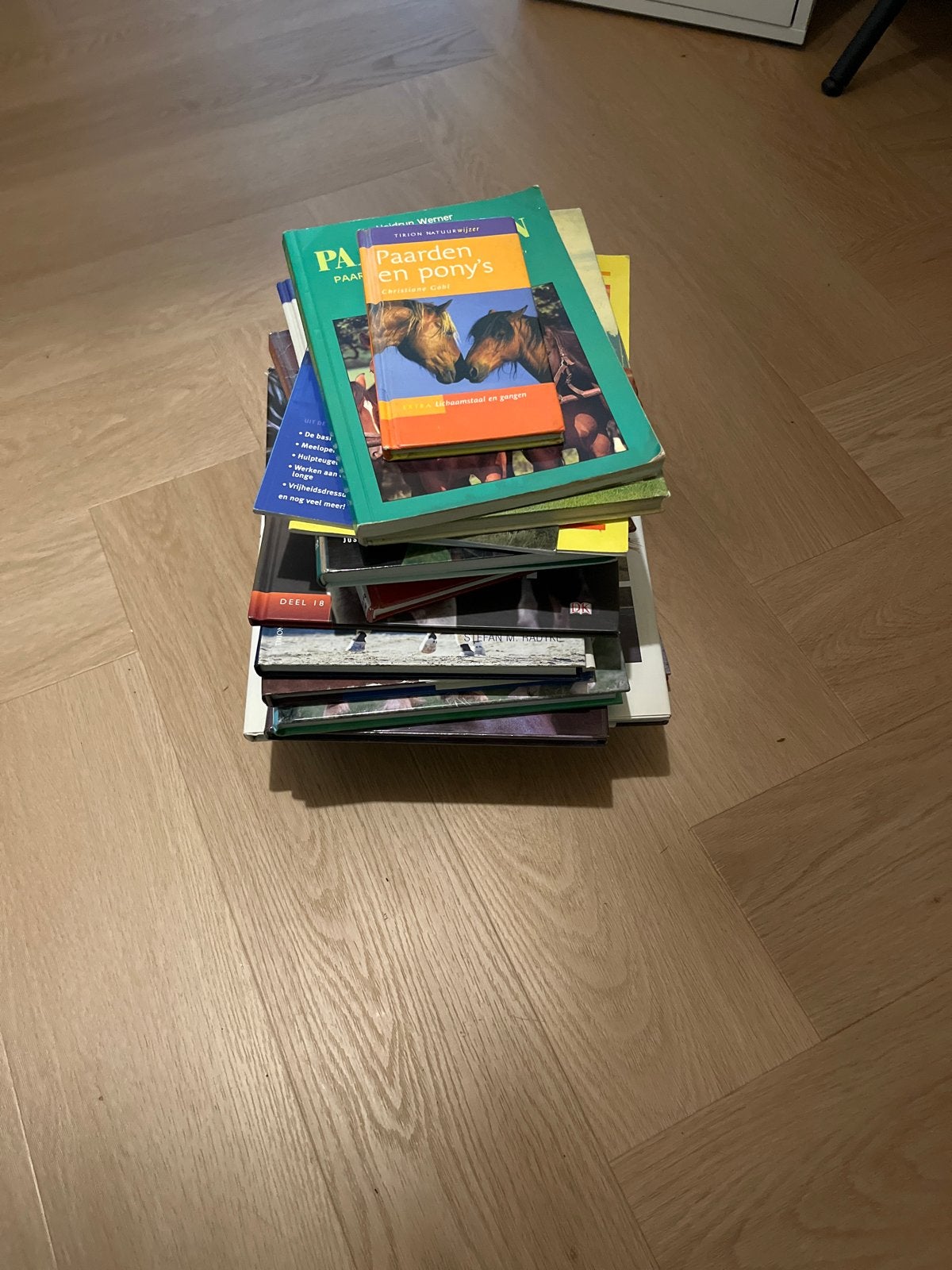 Grote collectie paardenboeken - diverse titels, Ophalen, Gelezen, Paarden of Pony's