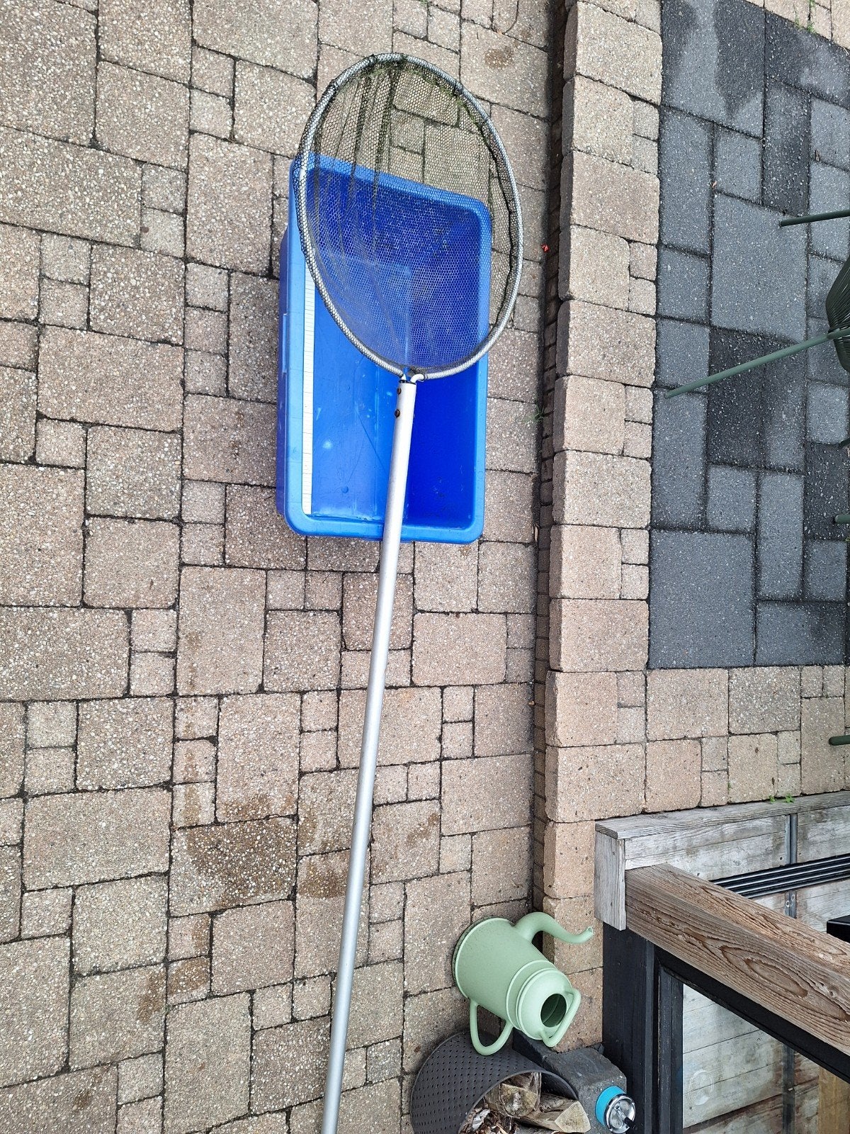 schepnet koi 60 cm, Ophalen of Verzenden, Overige typen