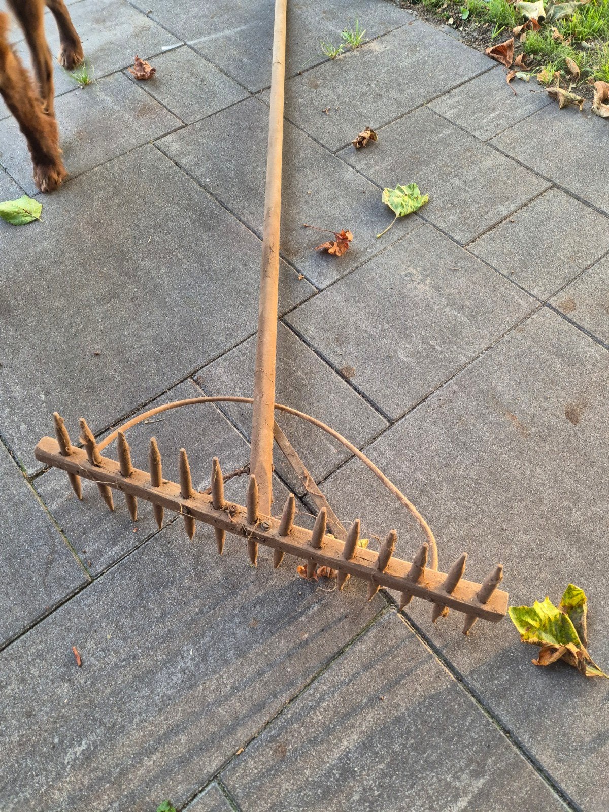 Oude houten hark voor tuin of decoratie, Ophalen, Gebruikt, Hark, Onbekend