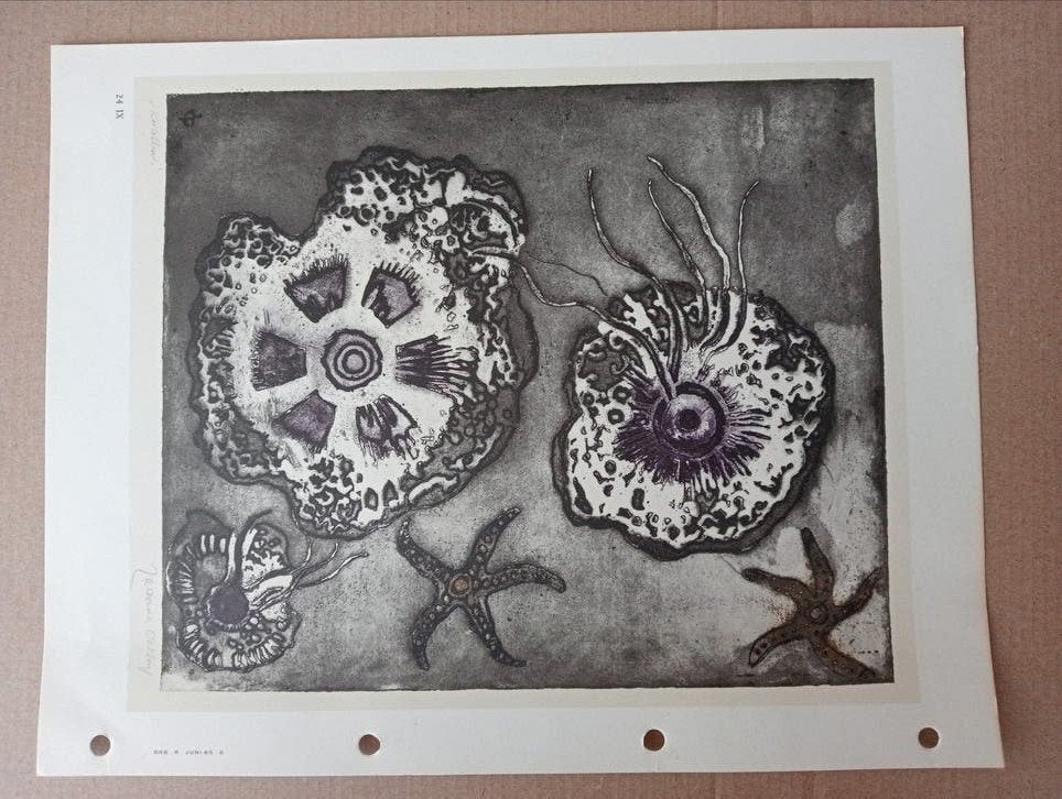 Jeanne Bieruma Oosting 'Kwallen', Ophalen of Verzenden, 1960 tot 1980, Zo goed als nieuw, Overige onderwerpen