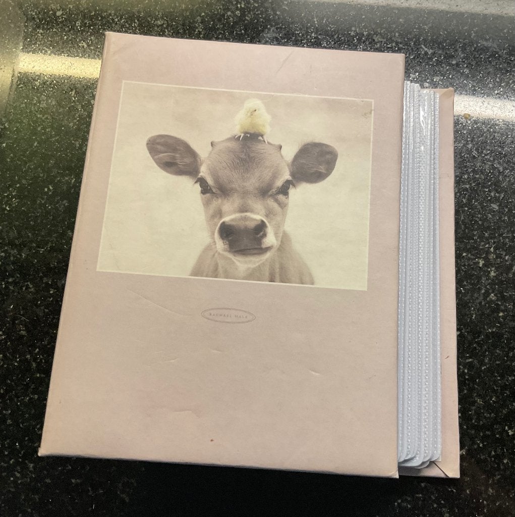 Fotoboekje, Audio, Tv en Foto, Fotoalbums en Accessoires, Ophalen of Verzenden, Nieuw, Fotomap, Met insteekhoezen