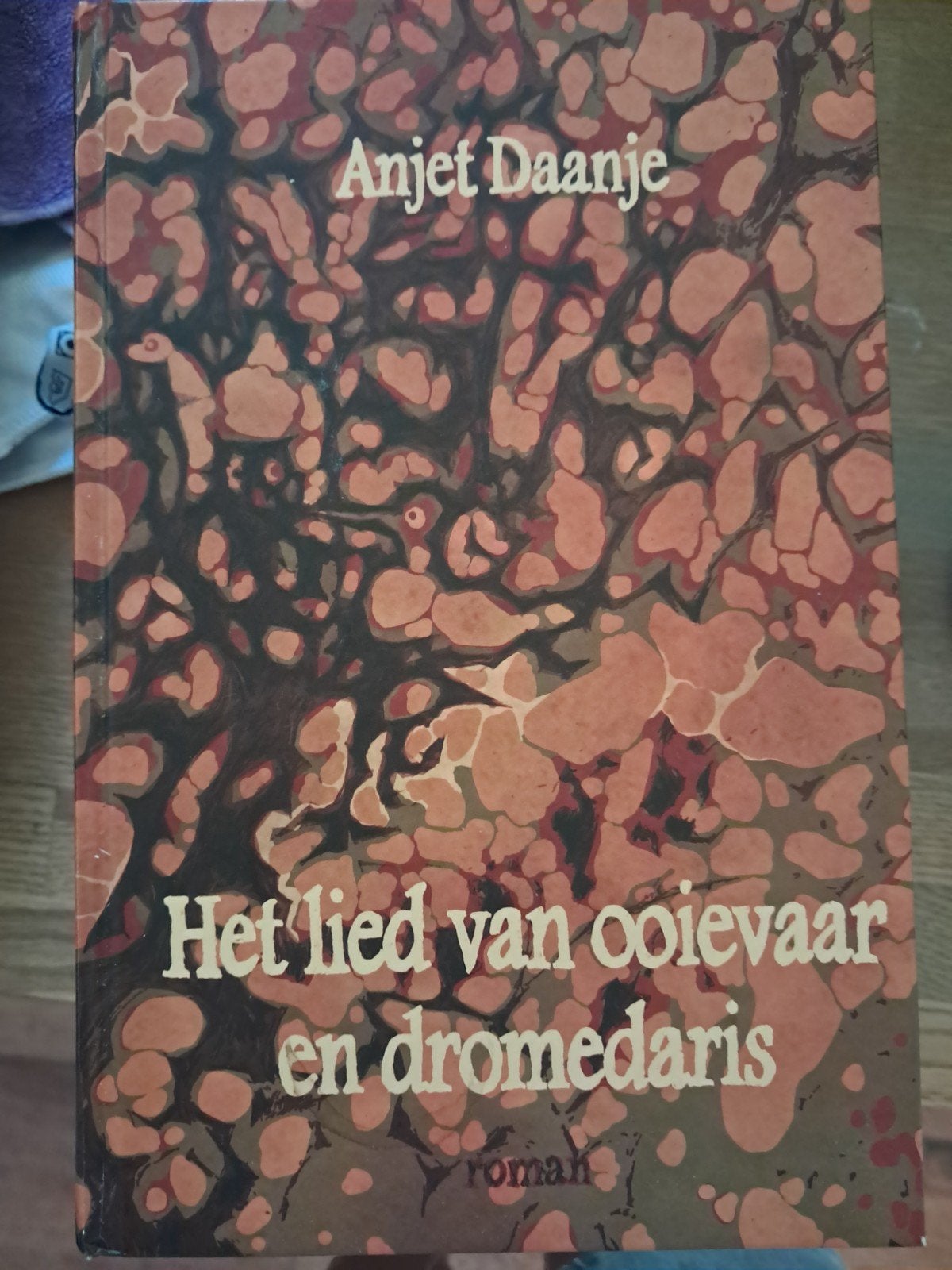 Anjet Daanje - Het lied van ooievaar en dromedaris, Boeken, Literatuur, Ophalen of Verzenden, Zo goed als nieuw, Anjet Daanje
