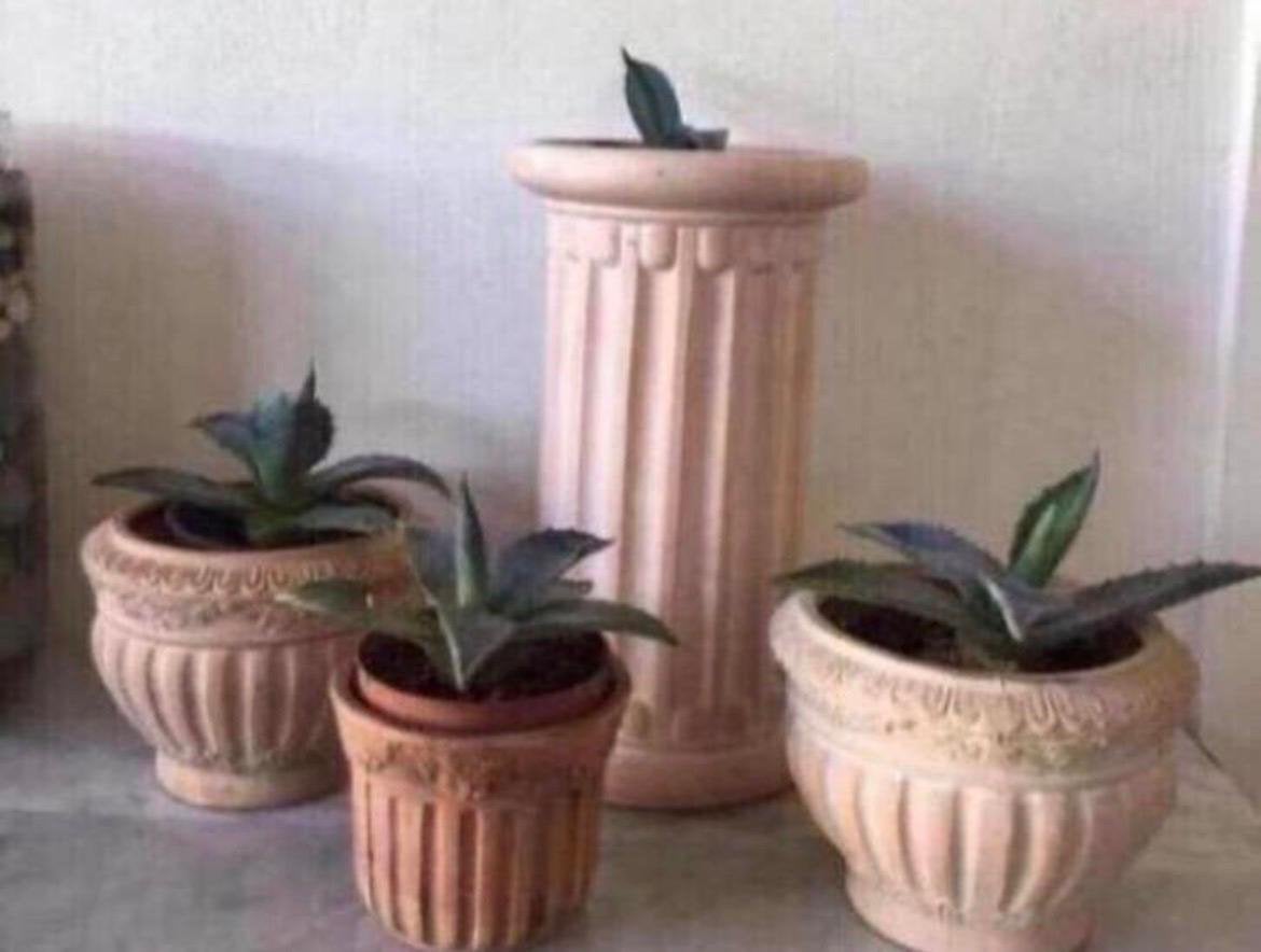 Mooie Italiaanse terracotta beige bloempotten, Rond, Binnen, Ophalen of Verzenden, Zo goed als nieuw