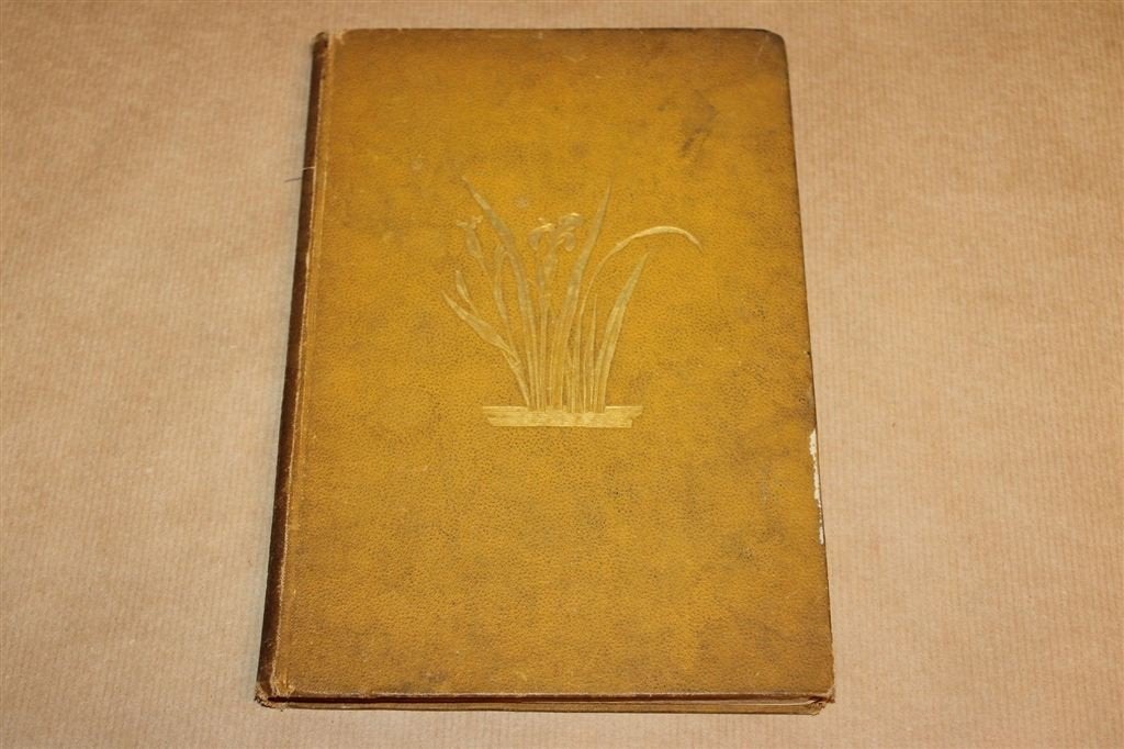 De Kunst in het Daaglijksch Leven — Ornamentkunst 1884, Ophalen of Verzenden, Gelezen